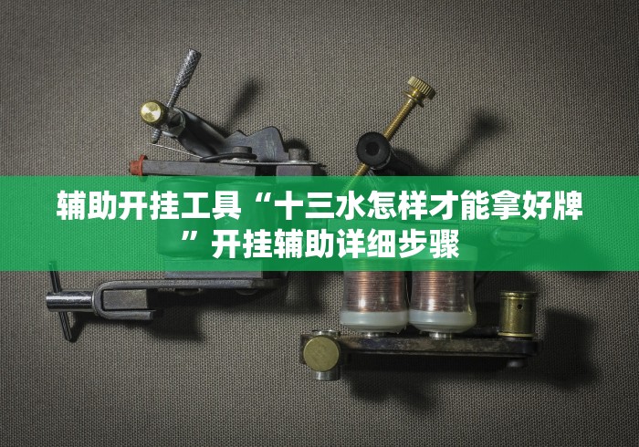 辅助开挂工具“十三水怎样才能拿好牌”开挂辅助详细步骤