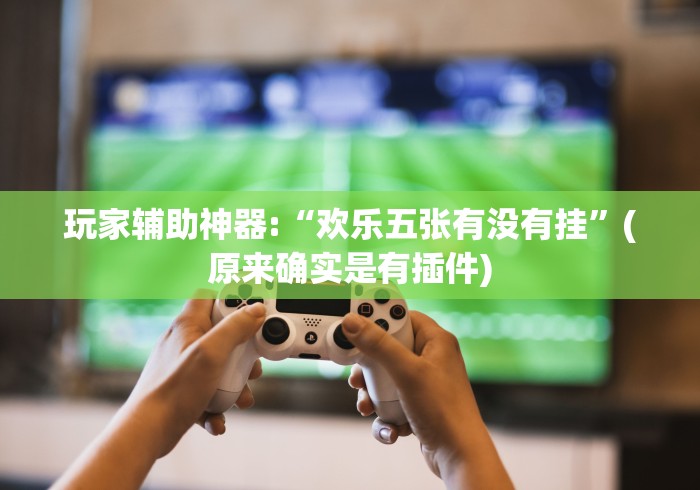 玩家辅助神器:“欢乐五张有没有挂”(原来确实是有插件)