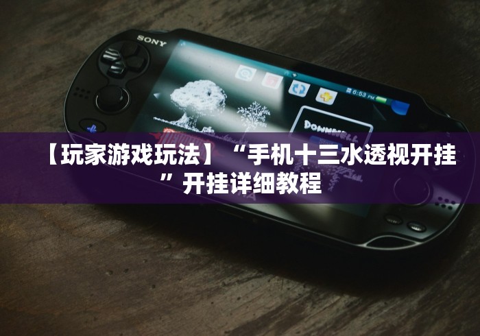 【玩家游戏玩法】“手机十三水透视开挂”开挂详细教程