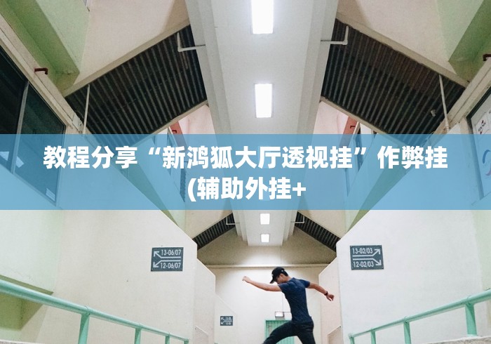 教程分享“新鸿狐大厅透视挂”作弊挂(辅助外挂+