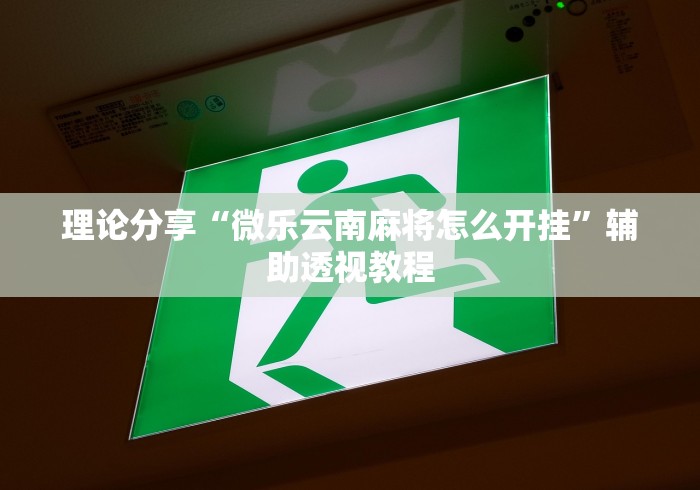 理论分享“微乐云南麻将怎么开挂”辅助透视教程