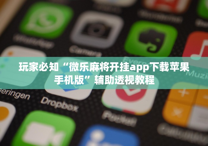 玩家必知“微乐麻将开挂app下载苹果手机版”辅助透视教程