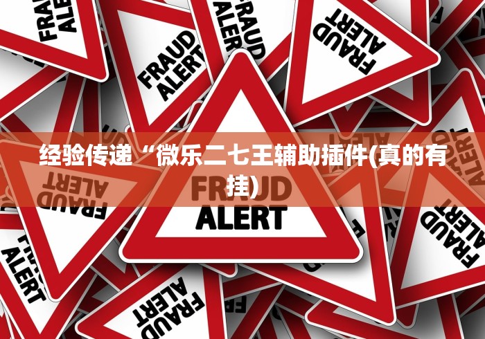 经验传递“微乐二七王辅助插件(真的有挂)