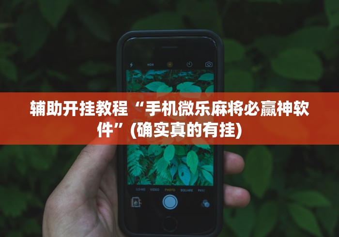 辅助开挂教程“手机微乐麻将必赢神软件”(确实真的有挂)