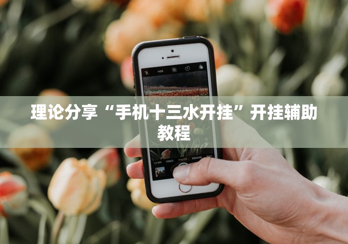 理论分享“手机十三水开挂”开挂辅助教程