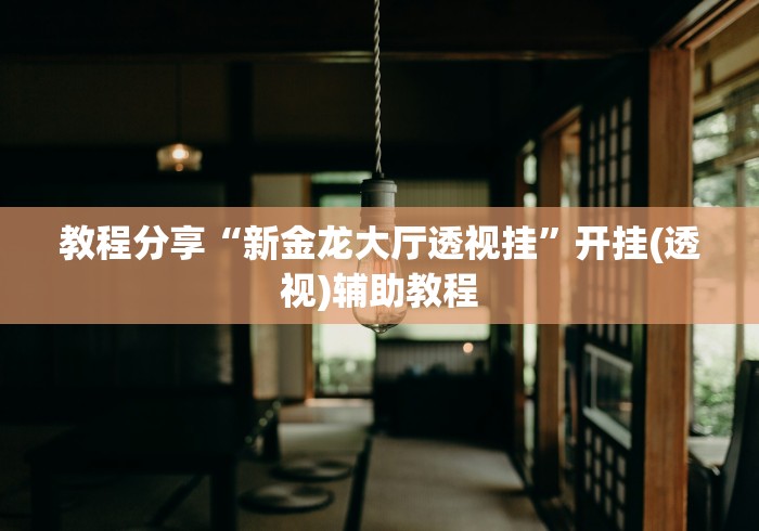 教程分享“新金龙大厅透视挂”开挂(透视)辅助教程