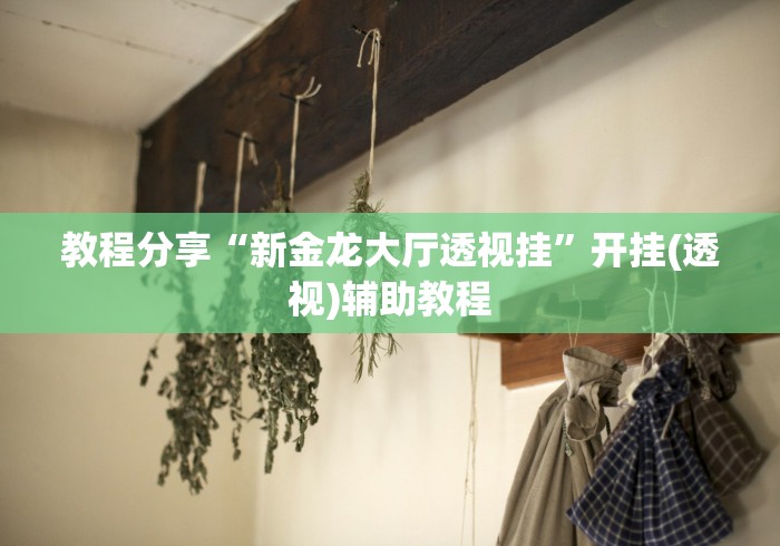教程分享“新金龙大厅透视挂”开挂(透视)辅助教程
