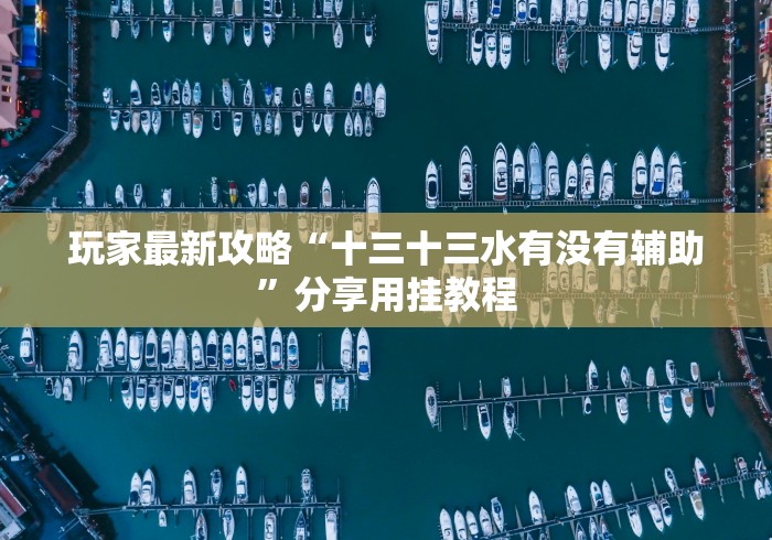 玩家最新攻略“十三十三水有没有辅助”分享用挂教程