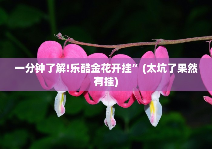 一分钟了解!乐酷金花开挂”(太坑了果然有挂)