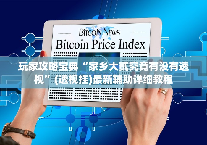 玩家攻略宝典“家乡大贰究竟有没有透视”(透视挂)最新辅助详细教程