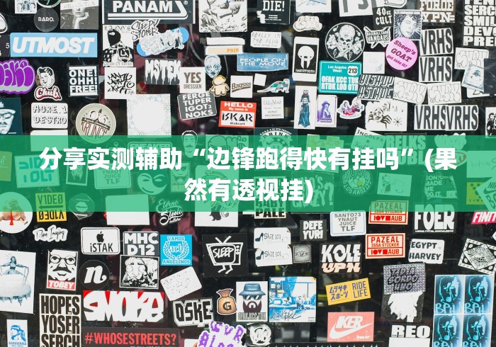分享实测辅助“边锋跑得快有挂吗”(果然有透视挂)