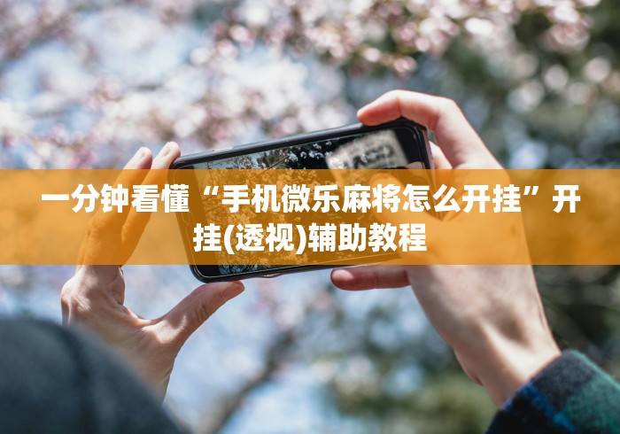一分钟看懂“手机微乐麻将怎么开挂	”开挂(透视)辅助教程