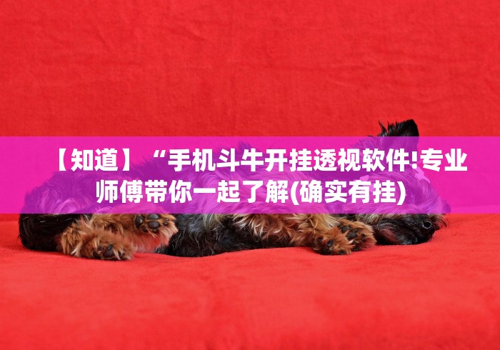 【知道】“手机斗牛开挂透视软件!专业师傅带你一起了解(确实有挂)