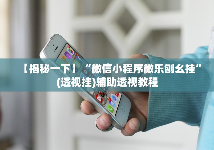 【揭秘一下】“微信小程序微乐刨幺挂”(透视挂)辅助透视教程