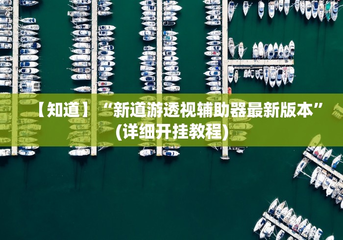 【知道】“新道游透视辅助器最新版本”(详细开挂教程)