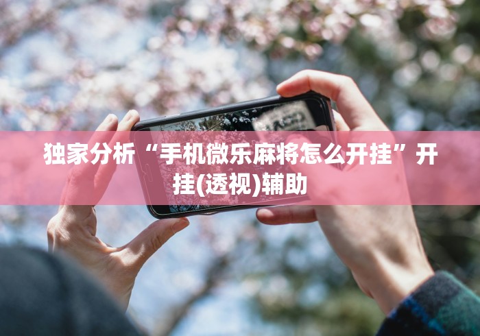 独家分析“手机微乐麻将怎么开挂”开挂(透视)辅助