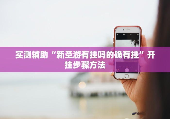 实测辅助“新圣游有挂吗的确有挂”开挂步骤方法