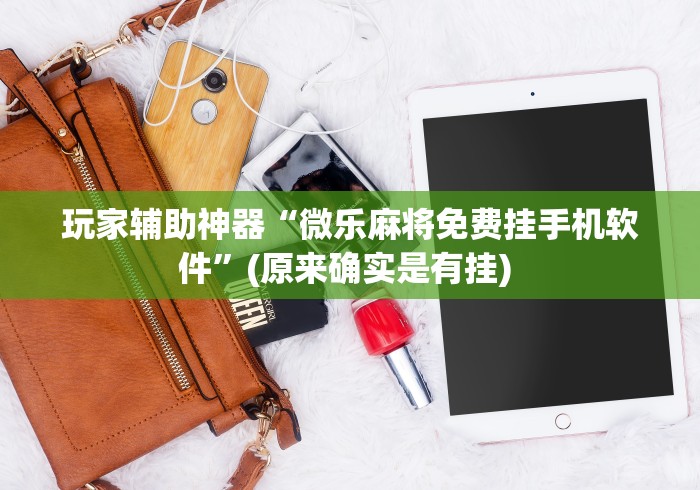 玩家辅助神器“微乐麻将免费挂手机软件”(原来确实是有挂) 