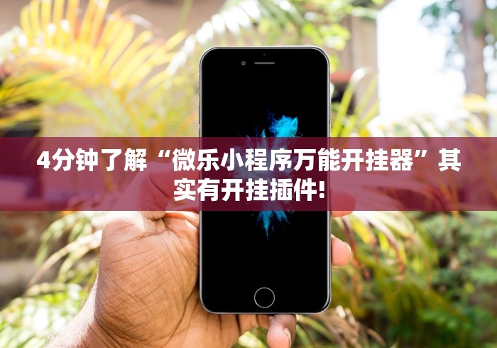 4分钟了解“微乐小程序万能开挂器”其实有开挂插件!