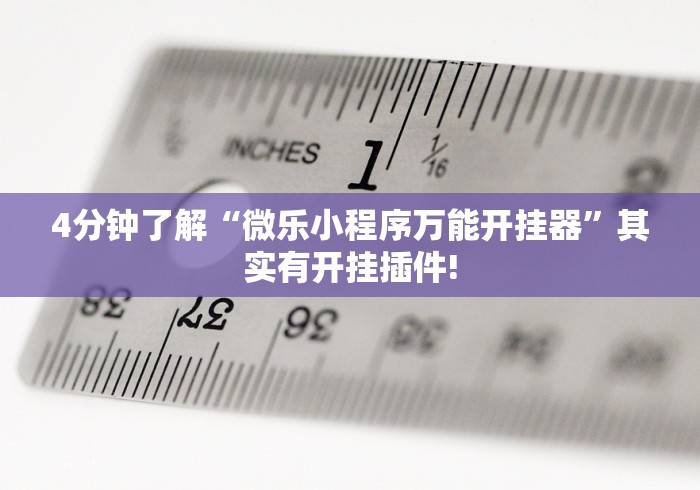 4分钟了解“微乐小程序万能开挂器”其实有开挂插件!