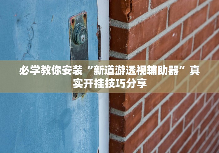 必学教你安装“新道游透视辅助器”真实开挂技巧分享