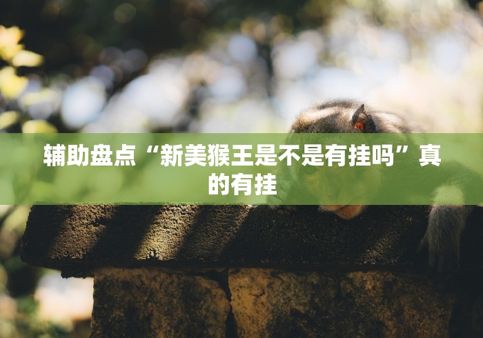 辅助盘点“新美猴王是不是有挂吗”真的有挂