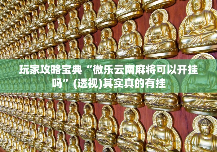 玩家攻略宝典“微乐云南麻将可以开挂吗”(透视)其实真的有挂