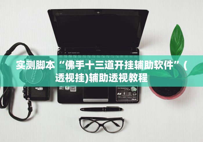 实测脚本“佛手十三道开挂辅助软件”(透视挂)辅助透视教程