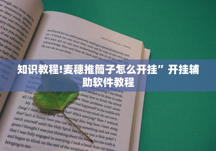 知识教程!麦穗推筒子怎么开挂”开挂辅助软件教程