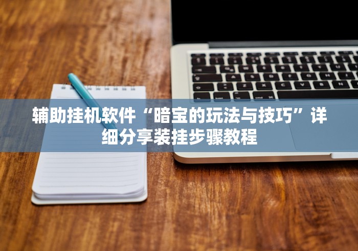 辅助挂机软件“暗宝的玩法与技巧”详细分享装挂步骤教程
