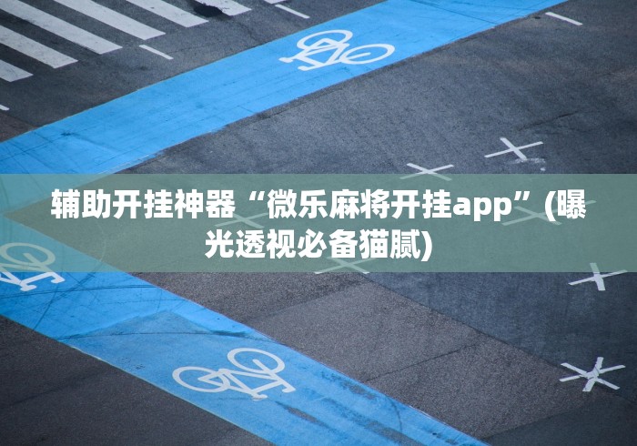 辅助开挂神器“微乐麻将开挂app”(曝光透视必备猫腻)