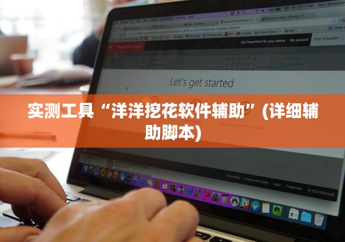 实测工具“洋洋挖花软件辅助”(详细辅助脚本)