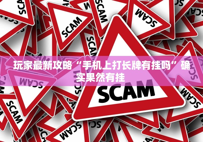 玩家最新攻略“手机上打长牌有挂吗”确实果然有挂 