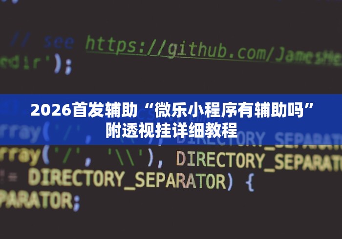 2026首发辅助“微乐小程序有辅助吗”附透视挂详细教程