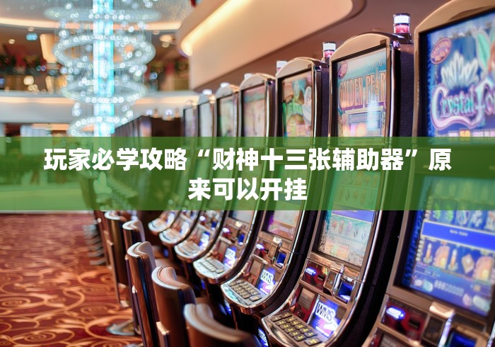玩家必学攻略“财神十三张辅助器	”原来可以开挂