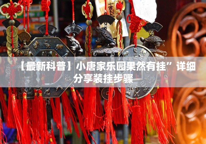 【最新科普】小唐家乐园果然有挂”详细分享装挂步骤