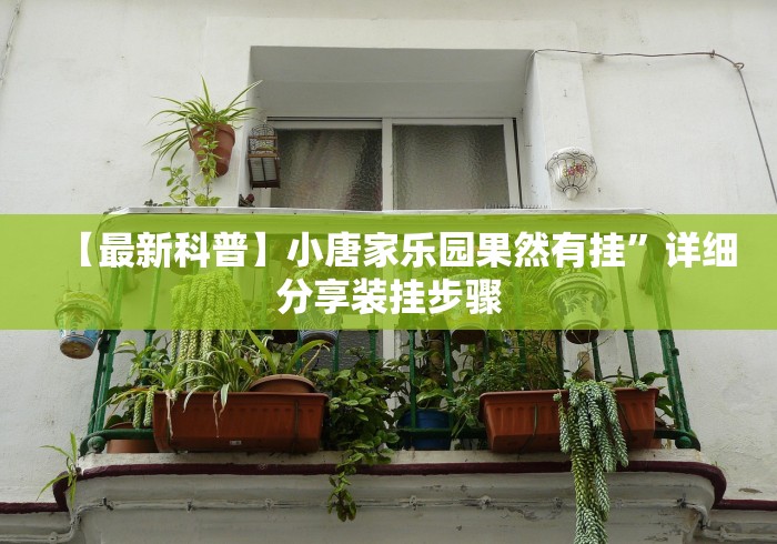 【最新科普】小唐家乐园果然有挂”详细分享装挂步骤