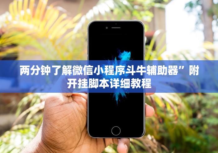 两分钟了解微信小程序斗牛辅助器”附开挂脚本详细教程
