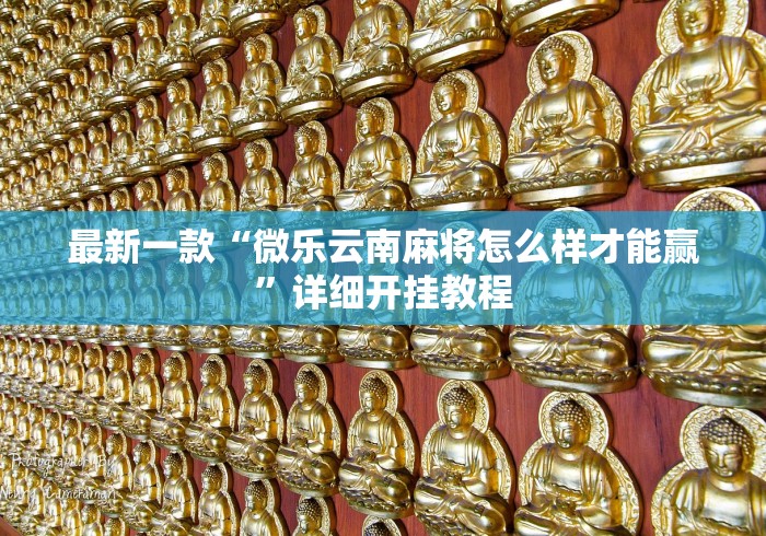 最新一款“微乐云南麻将怎么样才能赢”详细开挂教程