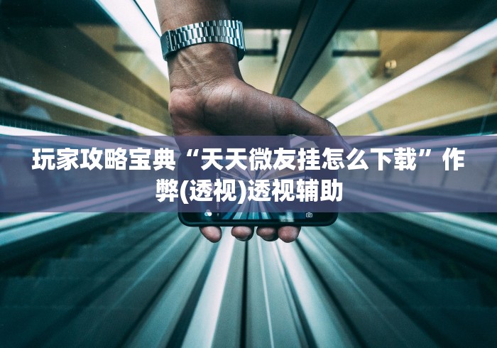 玩家攻略宝典“天天微友挂怎么下载”作弊(透视)透视辅助