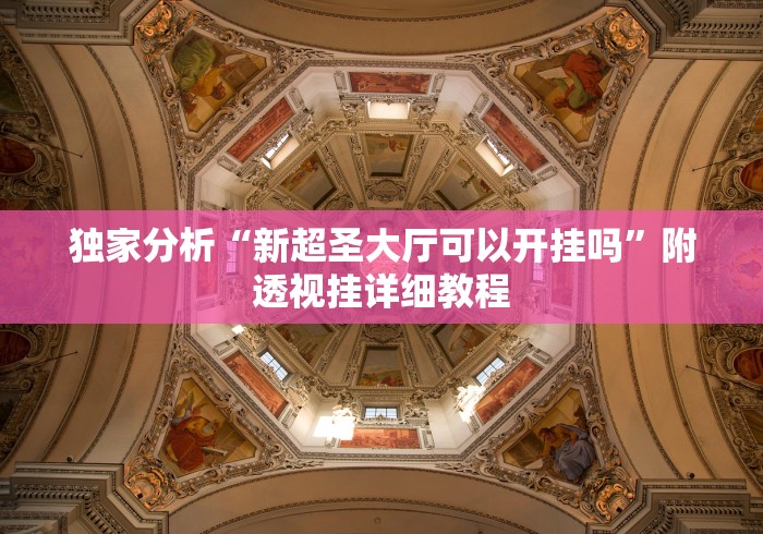 独家分析“新超圣大厅可以开挂吗”附透视挂详细教程