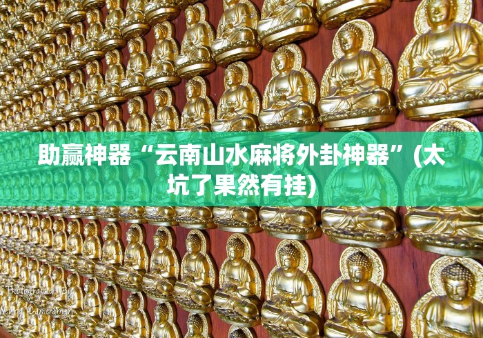 助赢神器“云南山水麻将外卦神器”(太坑了果然有挂)