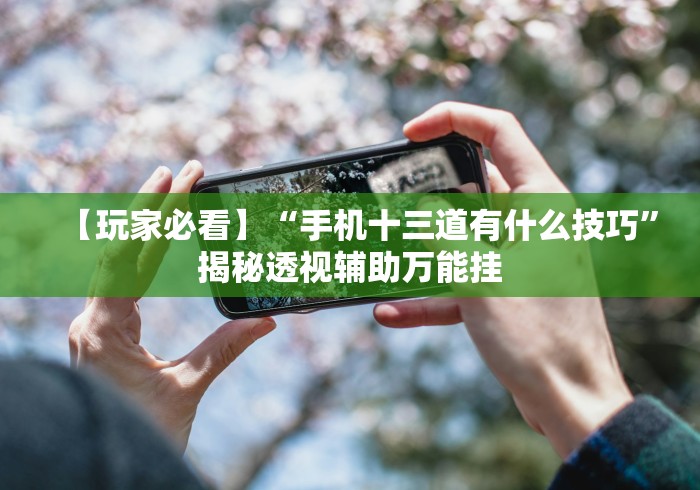 【玩家必看】“手机十三道有什么技巧	”揭秘透视辅助万能挂