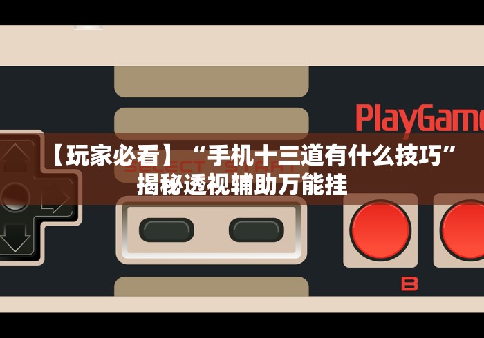 【玩家必看】“手机十三道有什么技巧”揭秘透视辅助万能挂