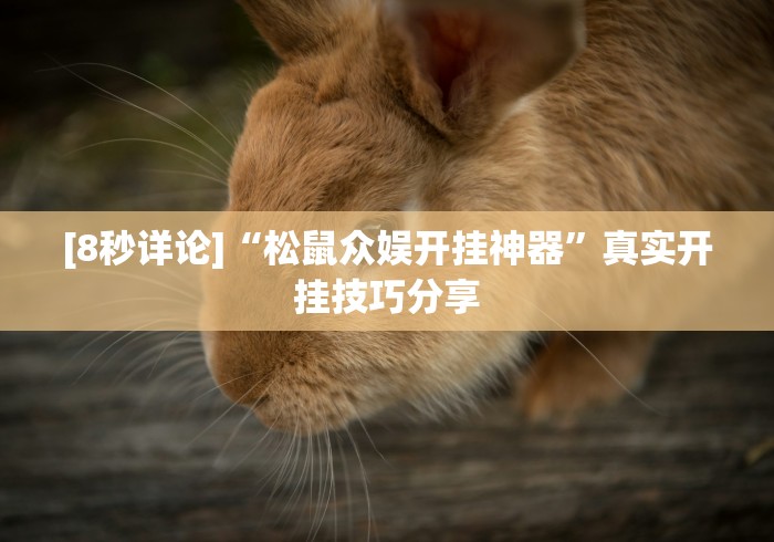 [8秒详论]“松鼠众娱开挂神器	”真实开挂技巧分享