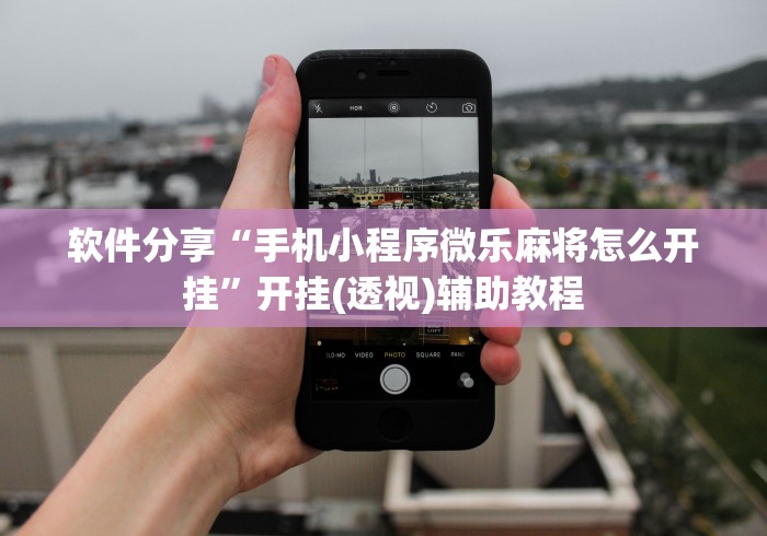 软件分享“手机小程序微乐麻将怎么开挂”开挂(透视)辅助教程