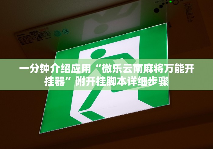 一分钟介绍应用“微乐云南麻将万能开挂器”附开挂脚本详细步骤