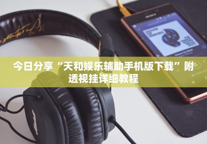 今日分享“天和娱乐辅助手机版下载”附透视挂详细教程