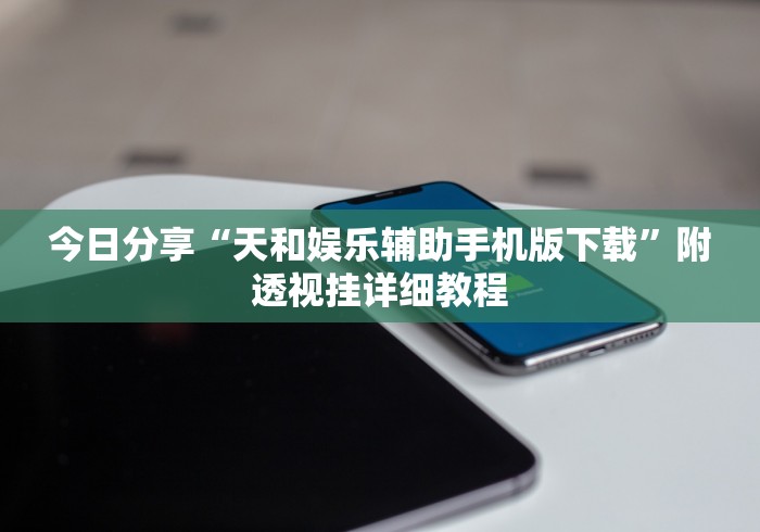 今日分享“天和娱乐辅助手机版下载	”附透视挂详细教程