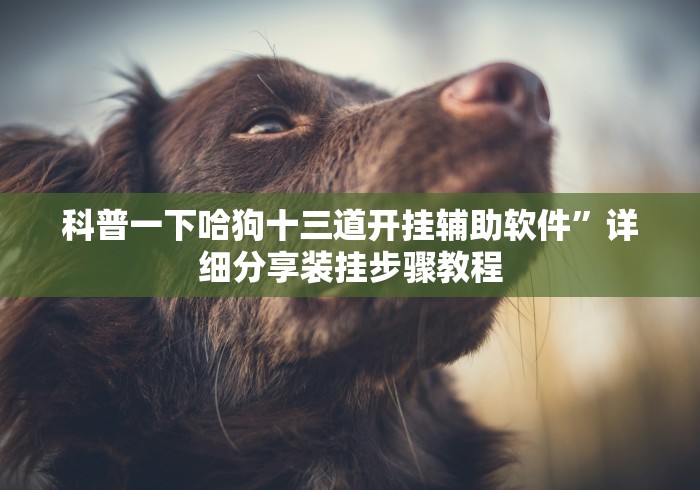 科普一下哈狗十三道开挂辅助软件”详细分享装挂步骤教程